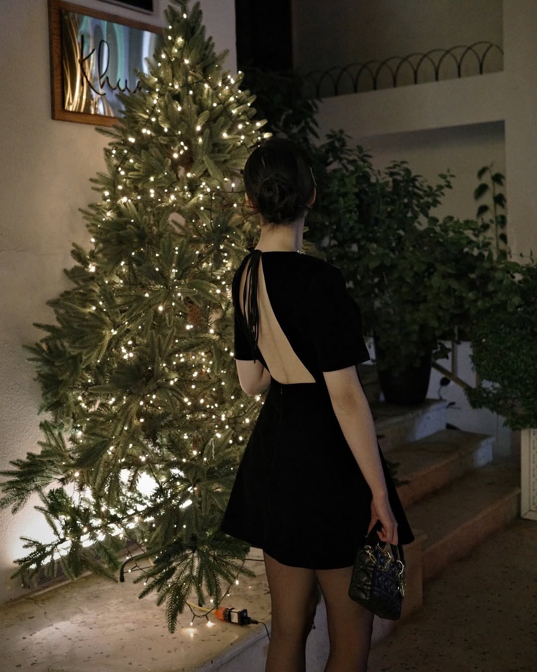 Velvet Moon Dress