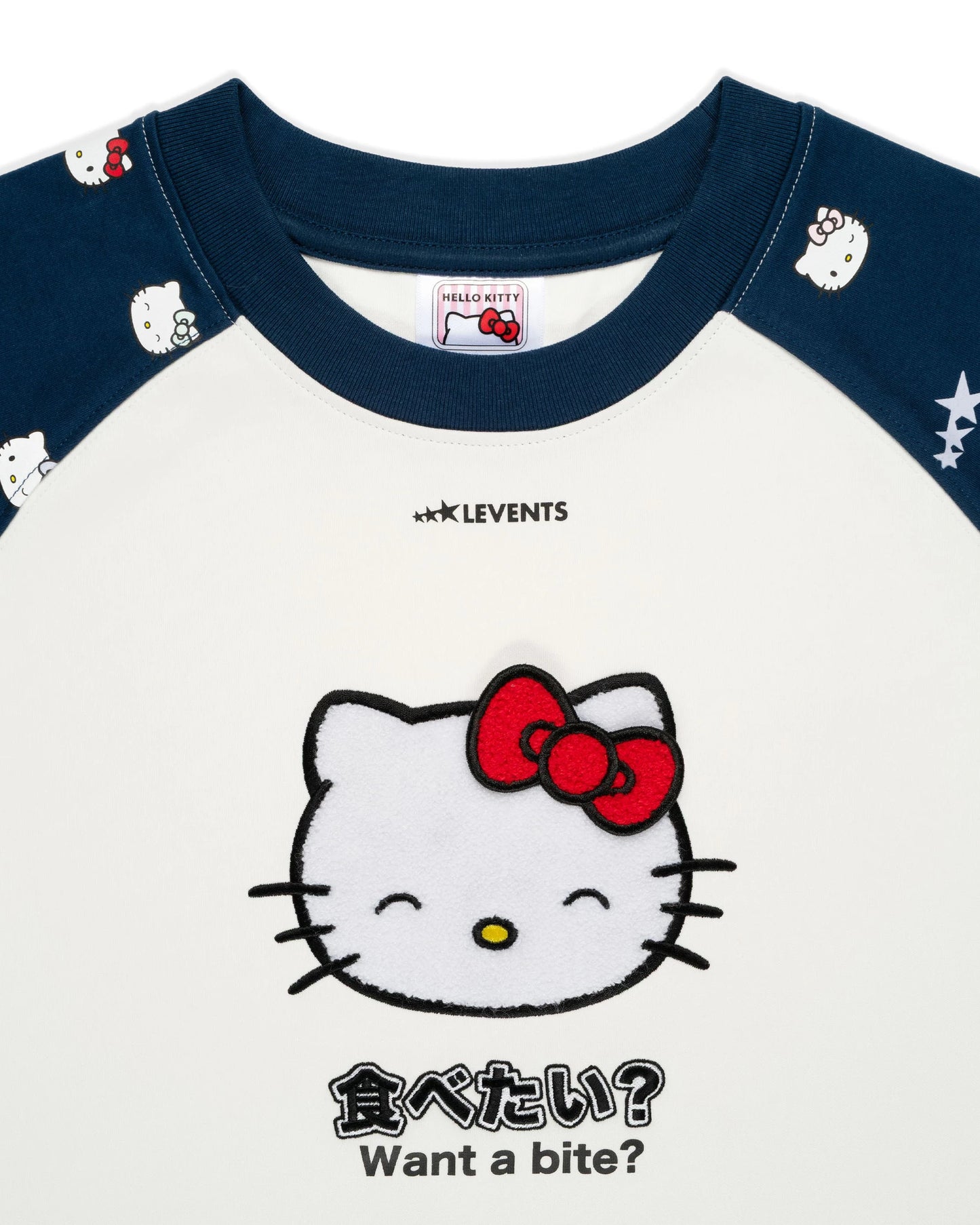 JOY ICON HEAVYWEIGHT RAGLAN LONG SLEEVE BOXY TEE