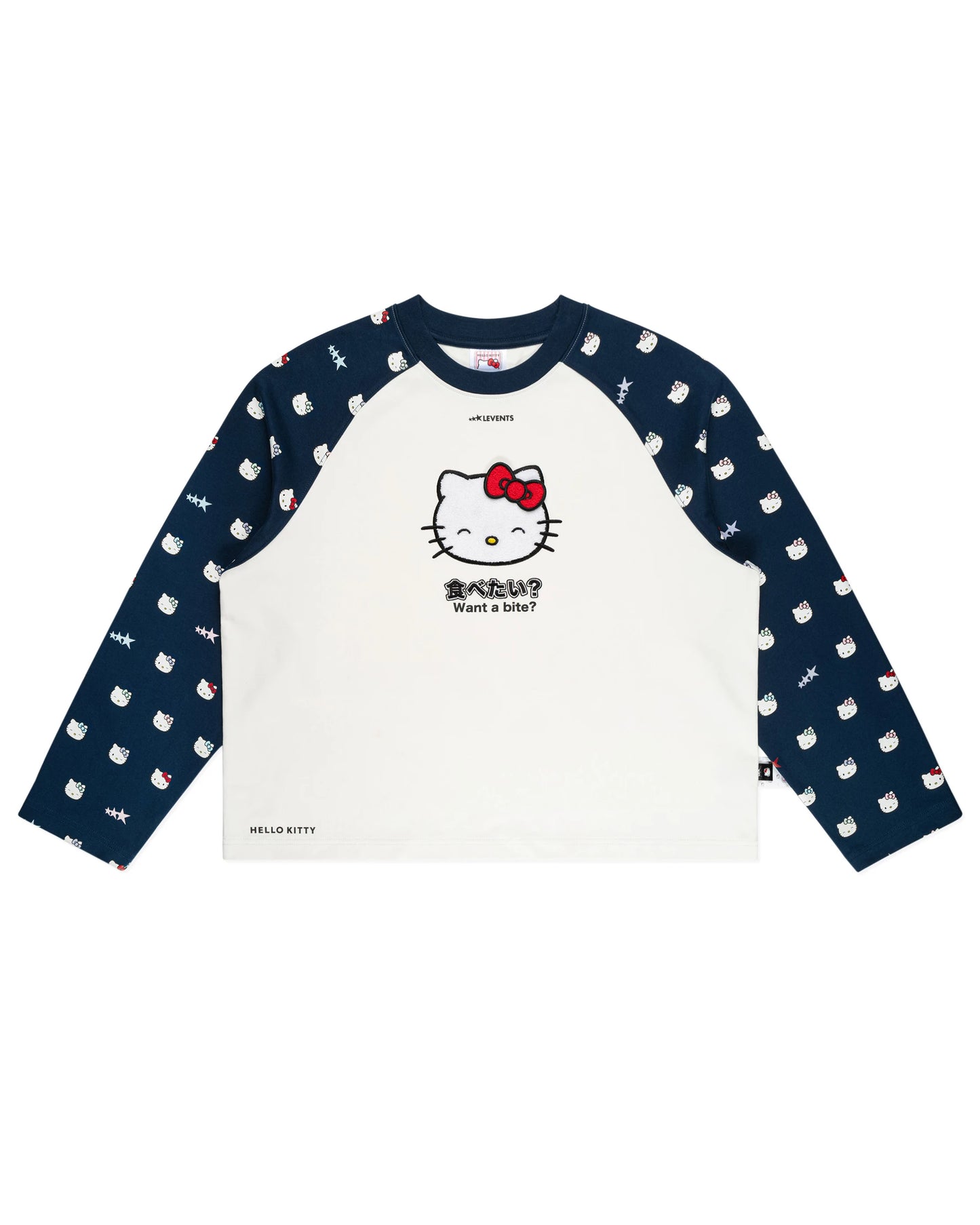 JOY ICON HEAVYWEIGHT RAGLAN LONG SLEEVE BOXY TEE