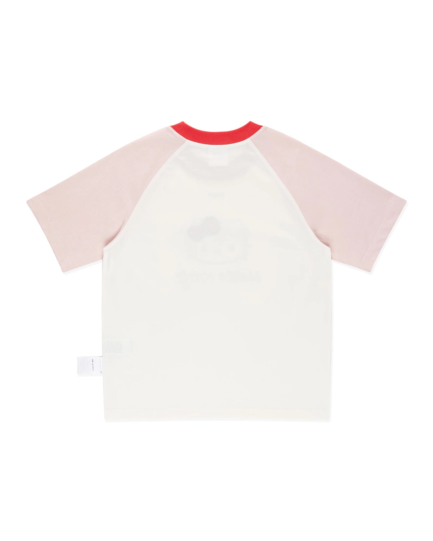ICON RAGLAN REGULAR TEE