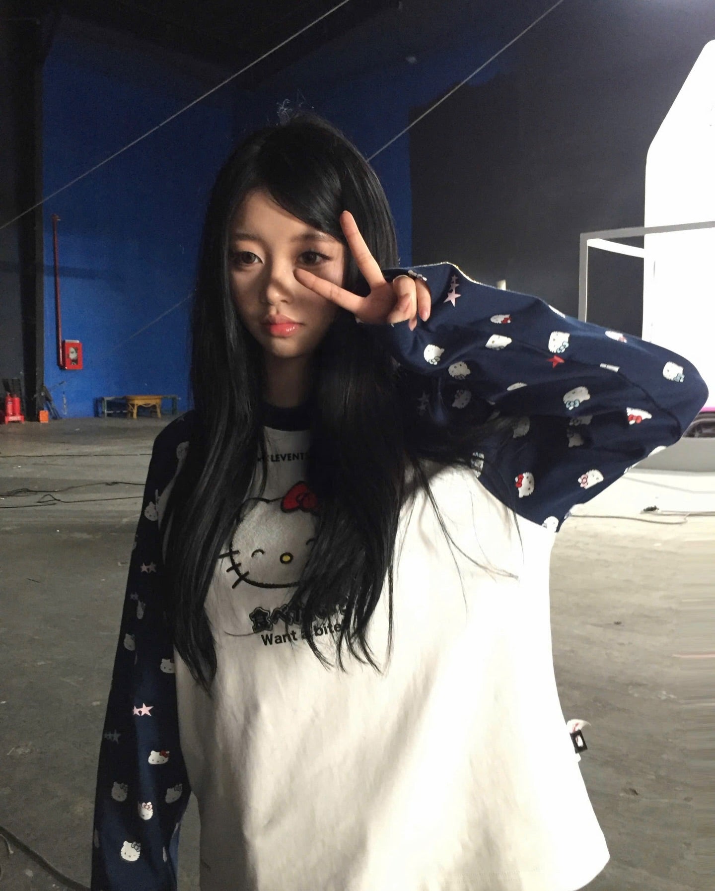 JOY ICON HEAVYWEIGHT RAGLAN LONG SLEEVE BOXY TEE