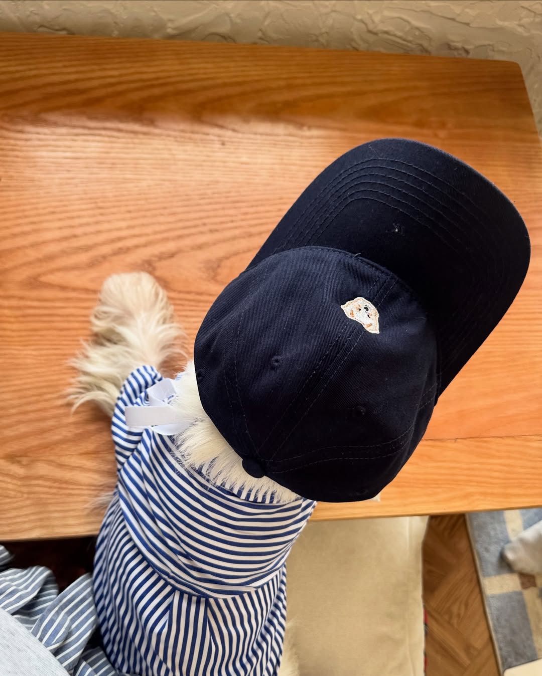 Bouffie Cap